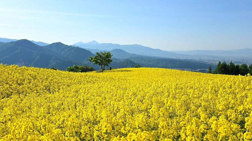 Lake Inawashiro