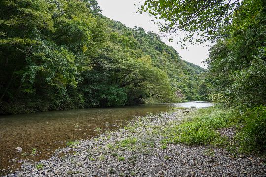 Following Fukushima’s Footpath: A Forest Walk in Nishigo