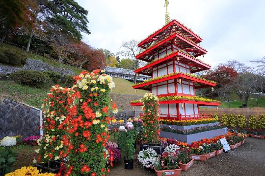 8 Things to Do in Nihonmatsu