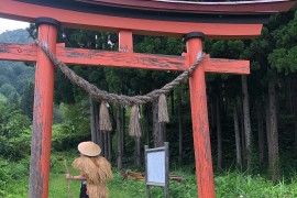 Ghé tham quan đền Mitsuishi