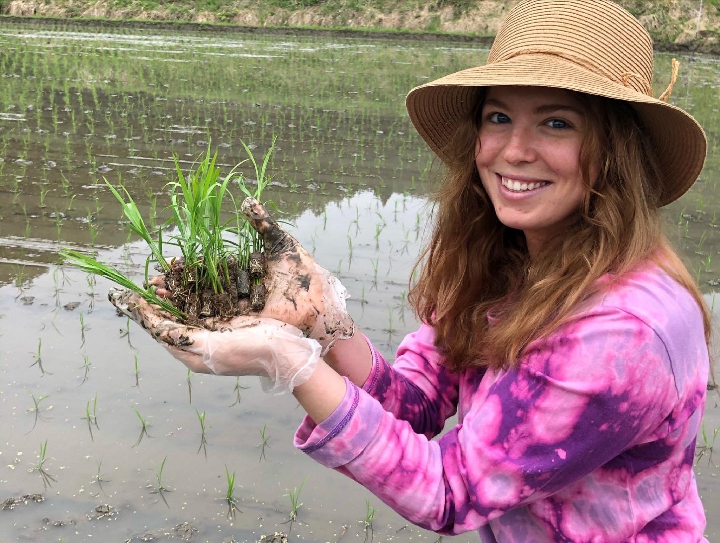 Grow-Your-Own-Rice bra - Japan Today