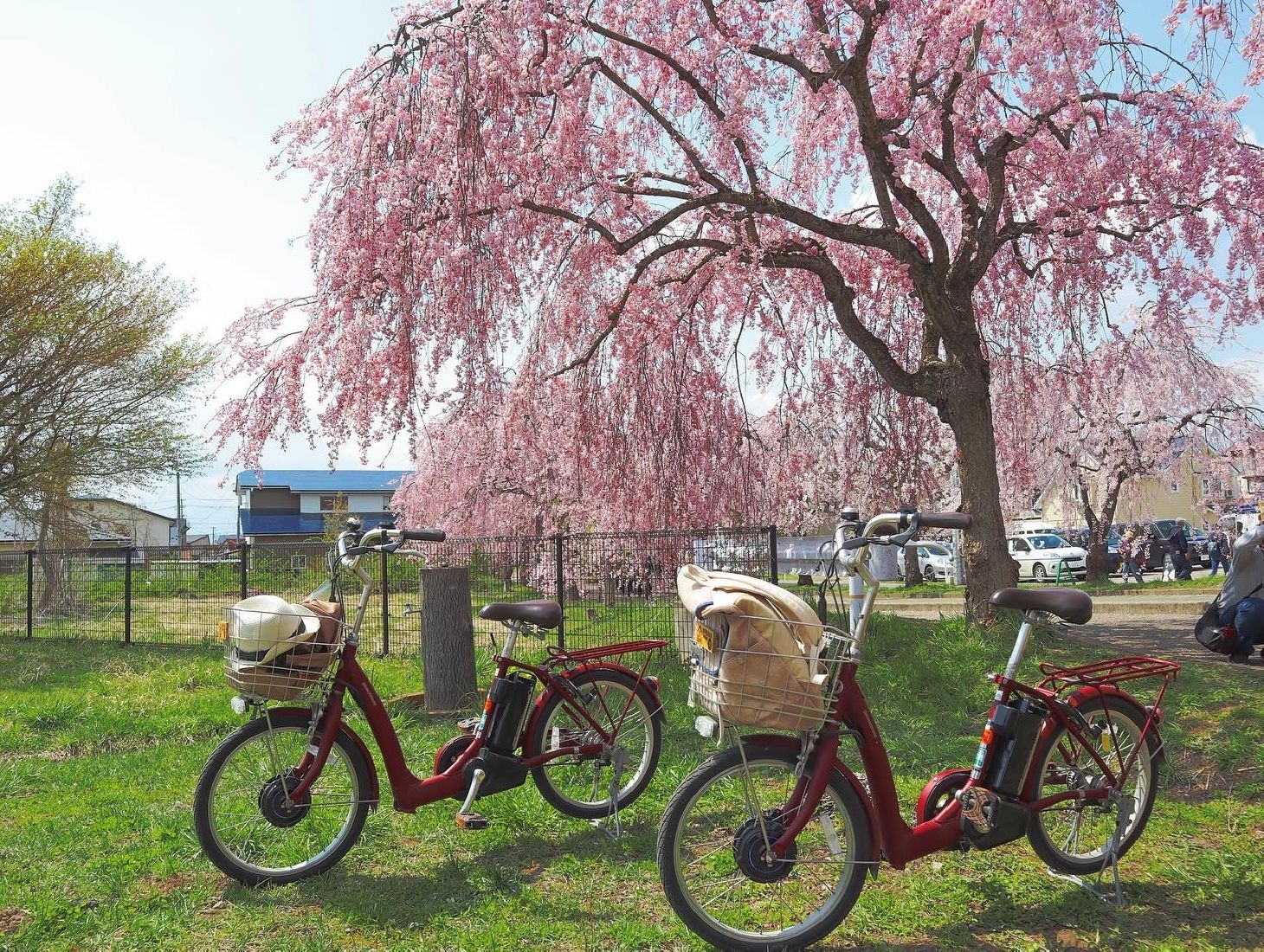 Cycling in Kitakata City