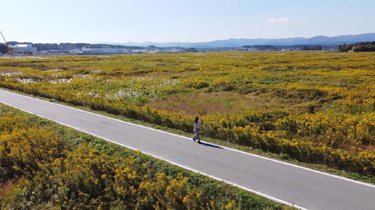 Exploring A Fukushima Footpath Course