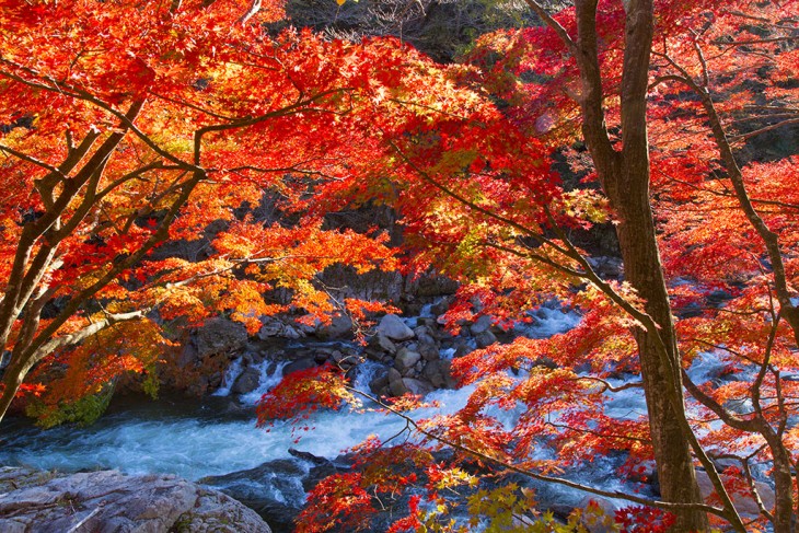 福岛县红叶景点10选