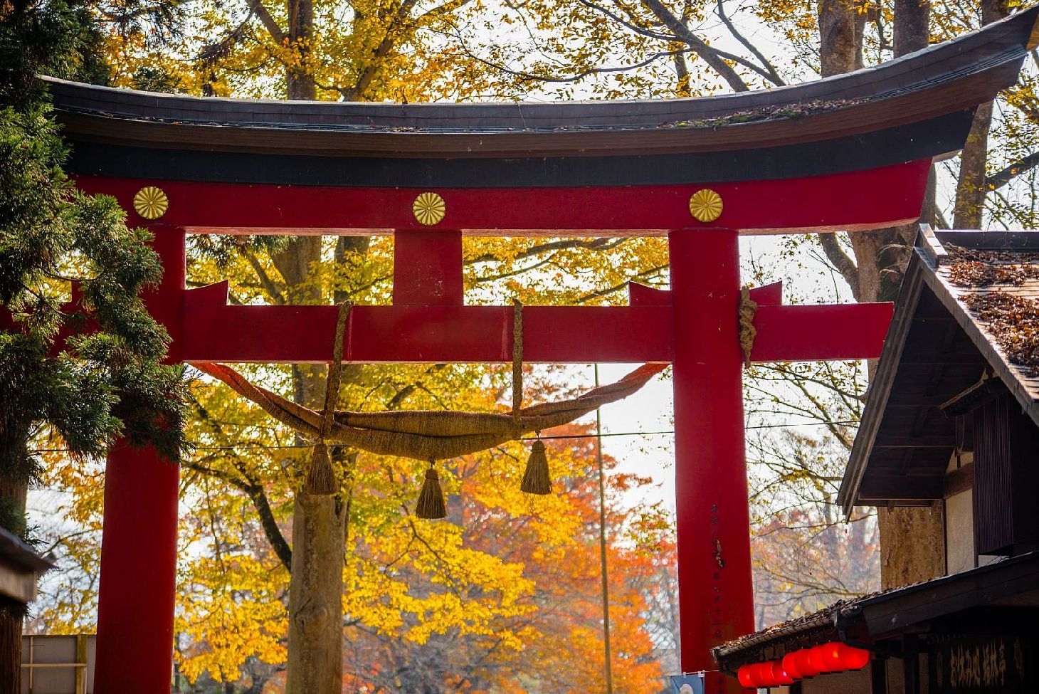 5 Hidden Autumn Colour Spots in Fukushima