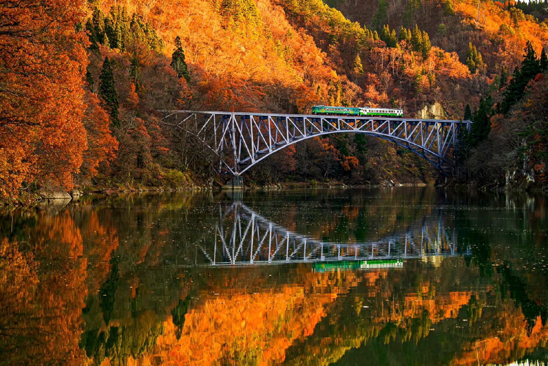 Tadami Viewpoint Bus Trip