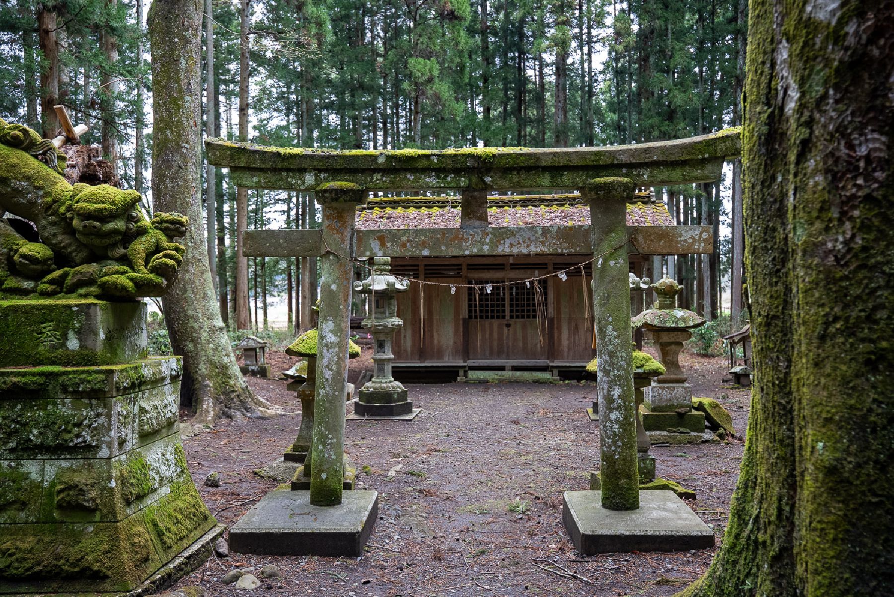 Isshikikanei Shrine