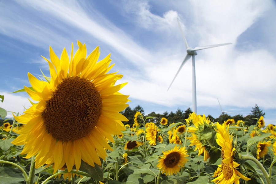 Koriyama Nunobiki Kaze-no-Kogen (Koriyama Nunobiki Wind Farm)