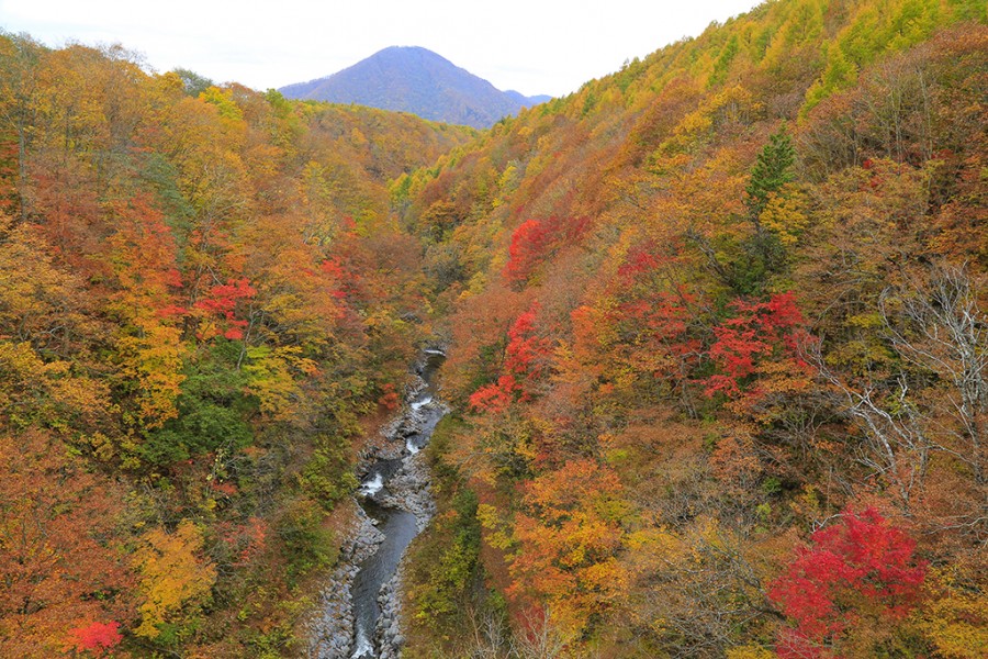 Nakatsugawa Valley