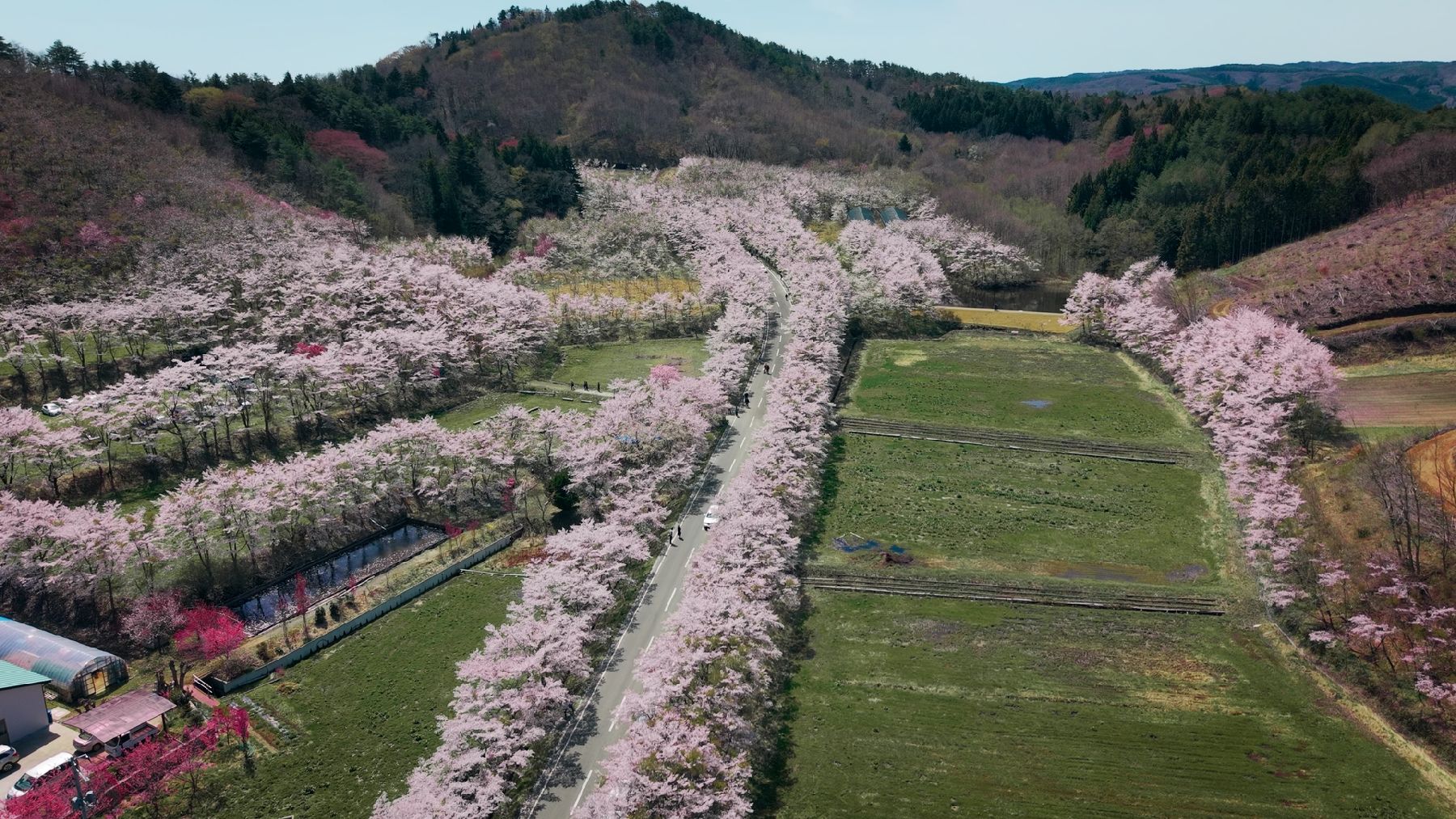The World Glassware Hall