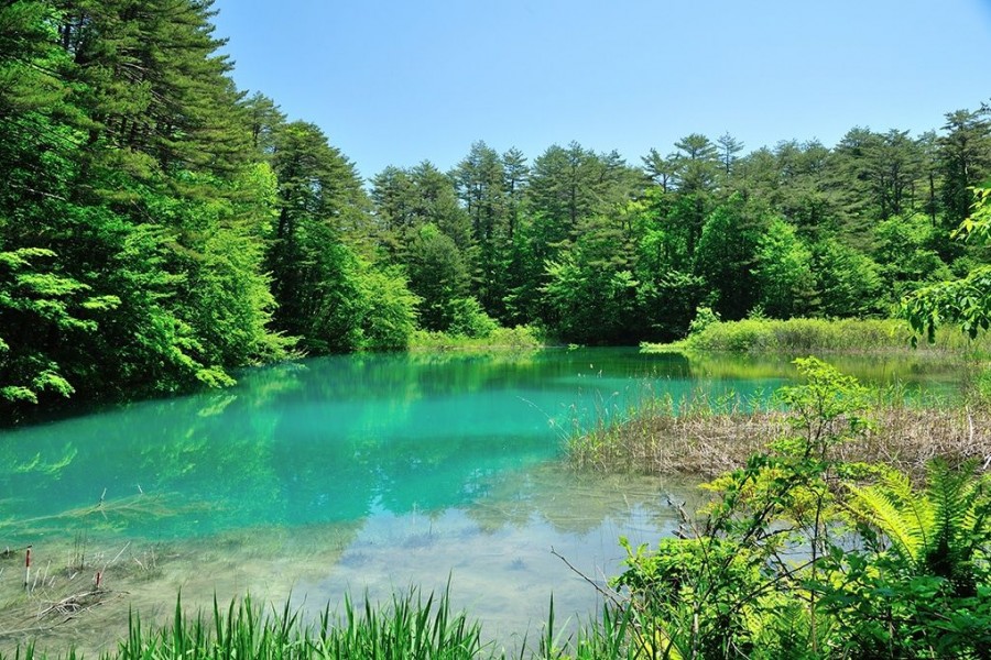 里磐梯的五色沼湖沼群