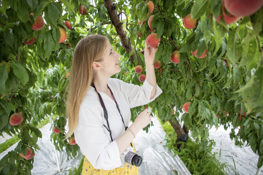 Marusei Orchard