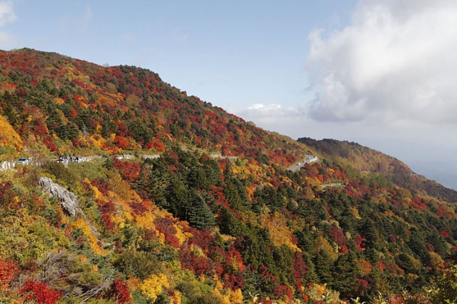 Autumn Colors of Fukushima