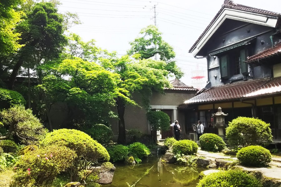 Cherry Blossoms and Hot Spring Relaxation