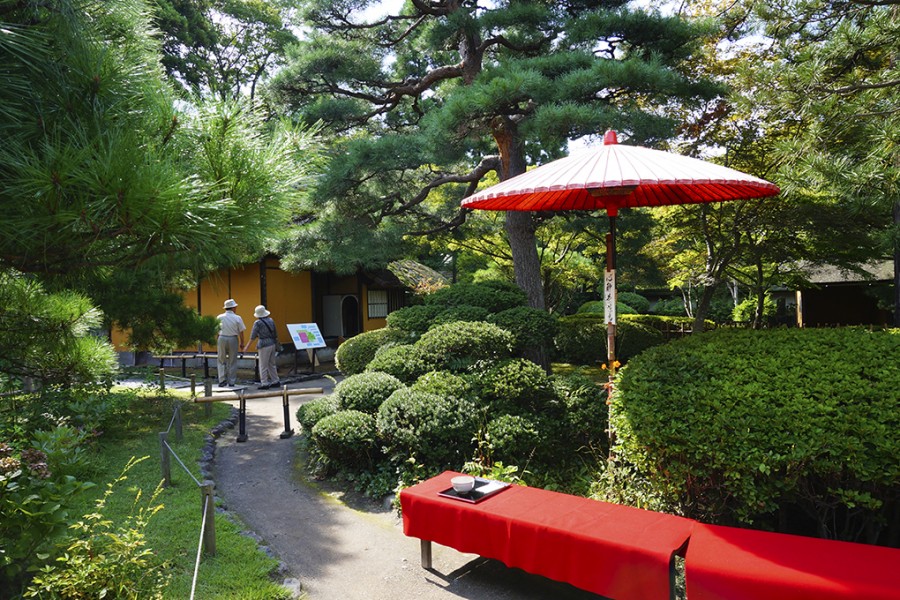 Relaxing Tea Ceremony at Tsurugajo Castle