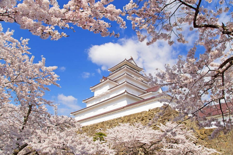 Tsurugajo Castle